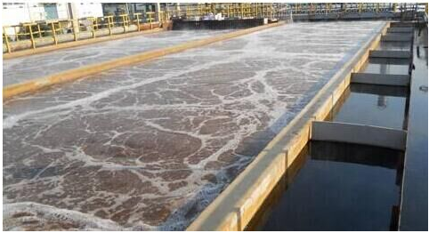 污泥是一種危險的固體廢物嗎？