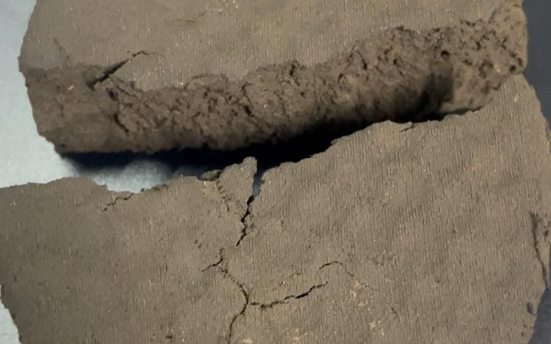 88772062c8b9cea9866b3a50d2cd4850